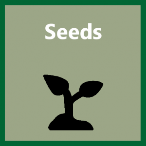 Seeds