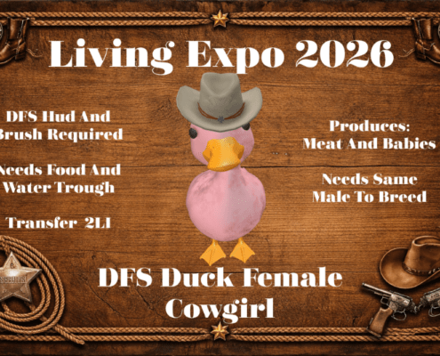DFS_Duck_Female_-_Cowgirl_Living_Expo_2026