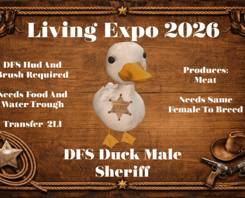 DFS_Duck_Male_-_Sheriff_Living_Expo_2026